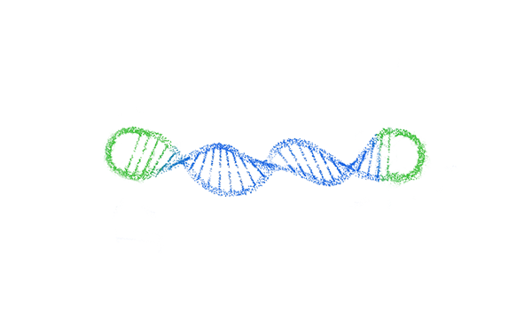 WEB_oDNA-1 (1)