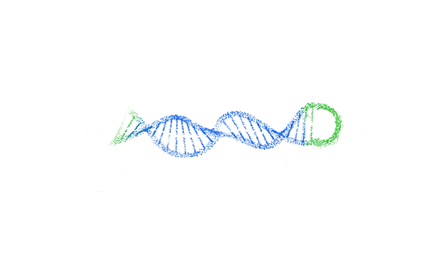 WEB_oDNA-2 (1)