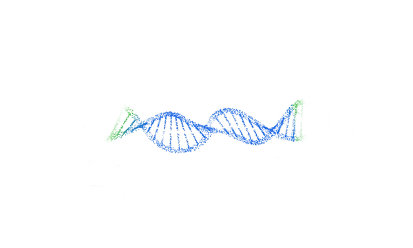 WEB_oDNA-3 (1)